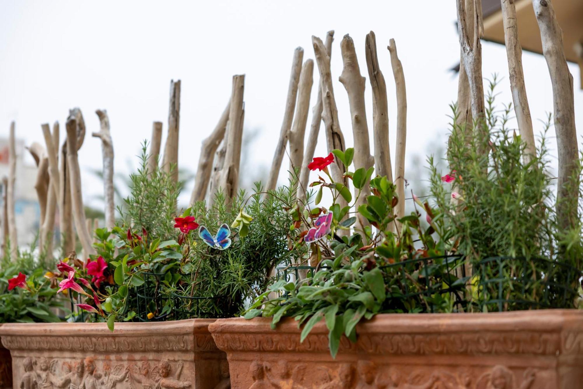 Al Mare 54 Luxury Guest House Lido di Camaiore Esterno foto